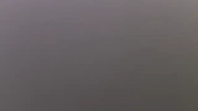 salome polaniiee online show from 10-19-25, 08:20