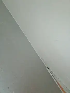 Snapshot of Stomps33 chatting on 02-05-26, 10:58 Stomps33 online show from 02-05-26, 10:58