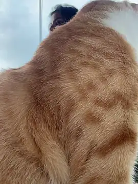 Snapshot of GigiiStone chatting on 03-16-25, 10:20 GigiiStone online show from 03-16-25, 10:20