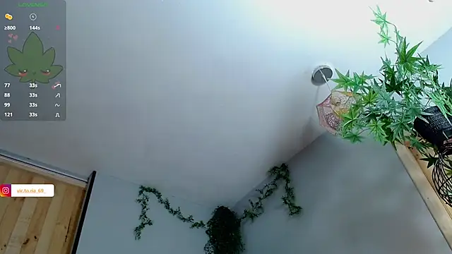 VickyJackson  online show from 01-27-25, 05:04