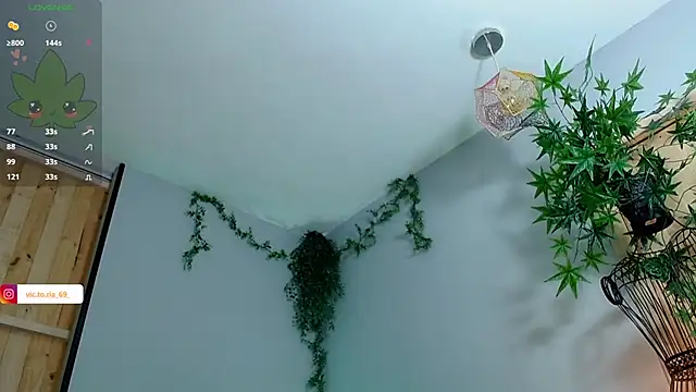 VickyJackson  online show from 02-01-25, 08:26