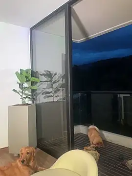 Helenbronwx online show from 12-22-24, 11:09