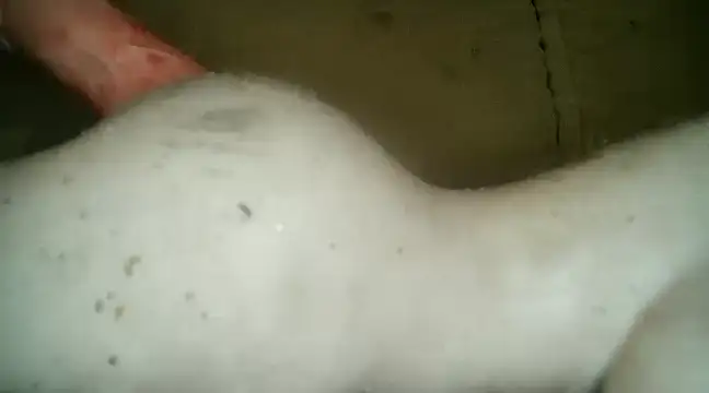 xxxlecram online show from 03-05-25, 09:48