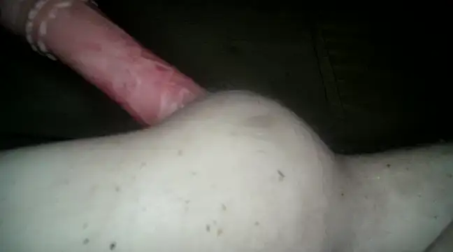 xxxlecram online show from 03-12-25, 02:01