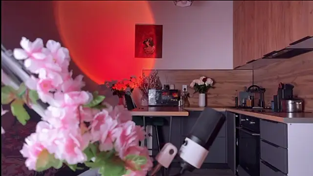 Snapshot of YourOblivion chatting on 02-24-26, 08:18 YourOblivion online show from 02-24-26, 08:18