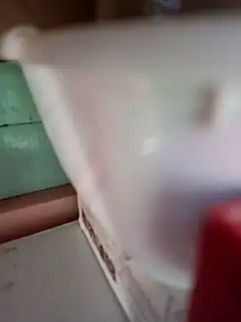 Rayito6969xh online show from 02-05-26, 03:38