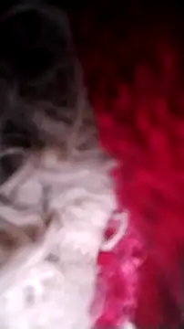 Bigcockmexi13 online show from 10-12-25, 03:11