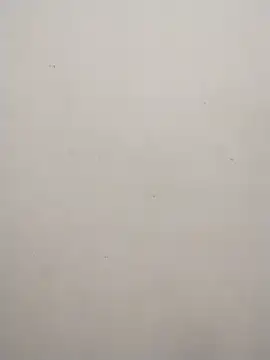 Snapshot of Shuttii_25 chatting on 02-10-25, 09:14 Shuttii 25 online show from 02-10-25, 09:14