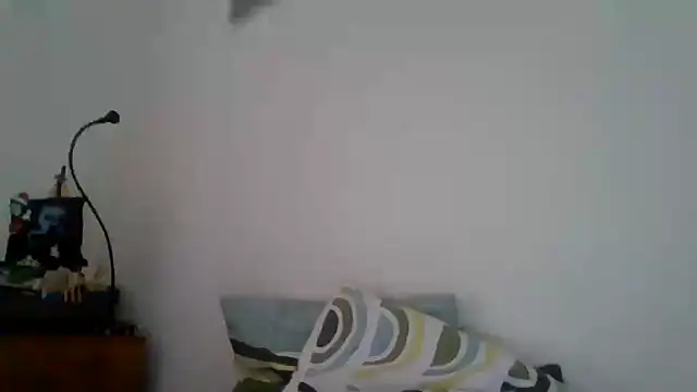 Snapshot of joaodias_97 chatting on 02-17-25, 02:26 joaodias 97 online show from 02-17-25, 02:26