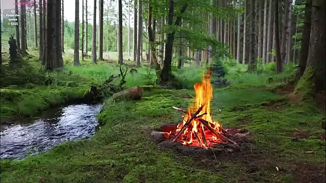 rusbigpaul online show from 02-12-25, 07:13