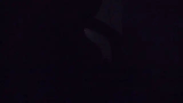 Snapshot of SouTarado69 chatting on 03-21-25, 11:45 SouTarado69 online show from 03-21-25, 11:45