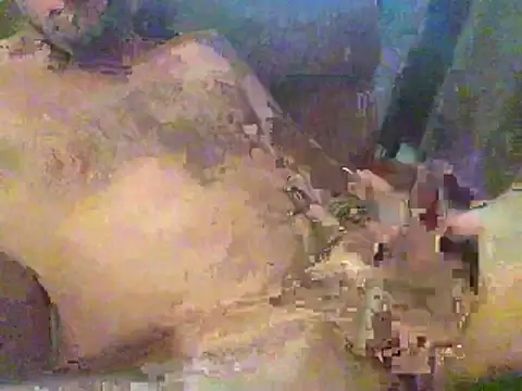 timmy88809 online show from 02-18-26, 04:47