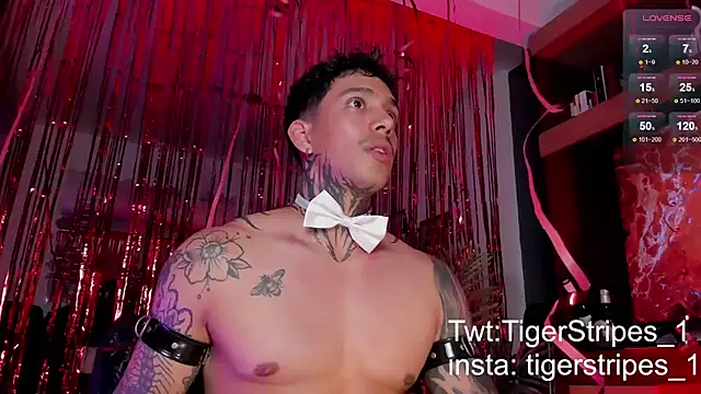 TigerStripes1  online show from 02-15-25, 12:15