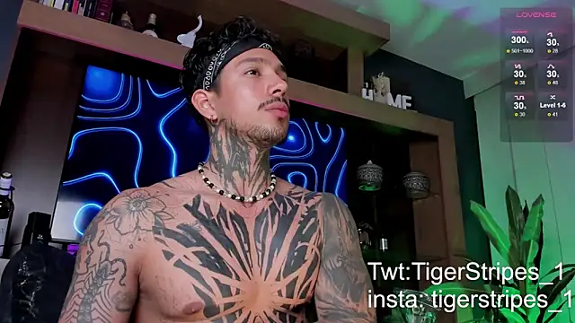 TigerStripes1  online show from 03-09-25, 12:31