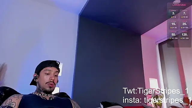 TigerStripes1  online show from 03-15-25, 09:49