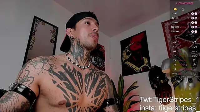 TigerStripes1  online show from 03-24-26, 02:55